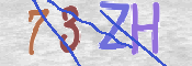 CAPTCHA-Bild